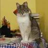 Отзыв от Александра Зверева